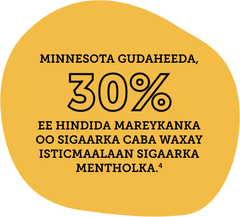 Minnesota gudaheeda, 30% ee Hindida Mareykanka oo sigaarka caba waxay isticmaalaan sigaarka mentholka.4